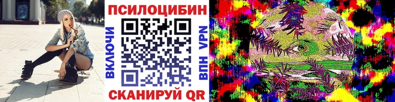 площадка клад  Каменск-Уральский  Псилоцибиновые грибы Psilocybe 